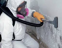 Why You Should Choose Our Mold Remediation Services in Suffern, NY